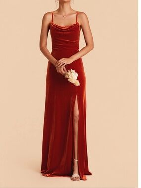 Birdy Grey Ash Velvet Dress in Burnt Orange